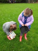 Primary 3 Forest School - Leaf identification 