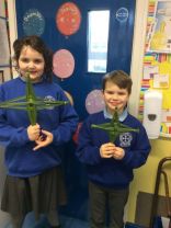 Making St Brigid's Crosses in P5