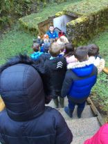 P5 Trip to Marble Arch Caves