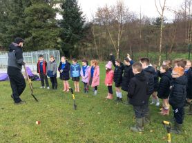 Tree-Planting In P5