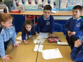 P5 Apple Mummification Experiment! 